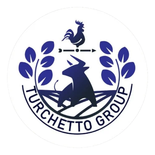 Em Manutenção Turchetto Group